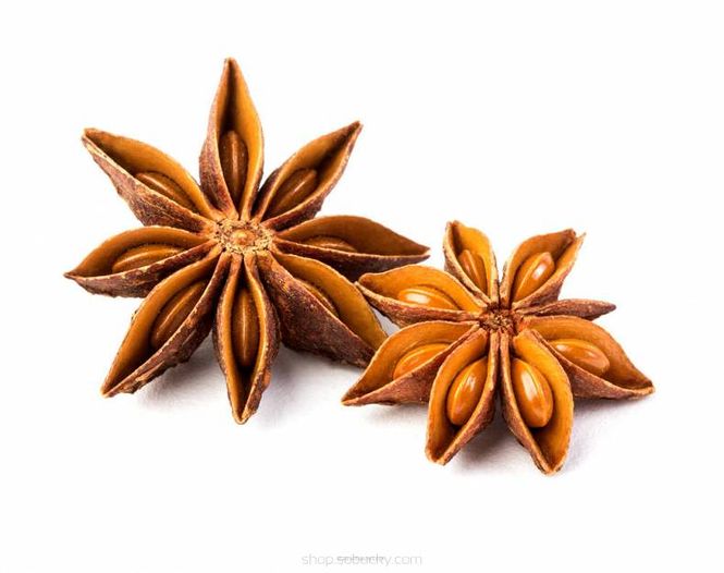 Hovedbilde Anise - SSA Series