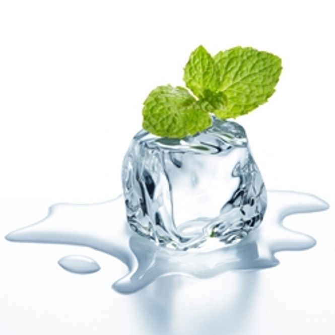 Hovedbilde Wintergreen - TFA Series