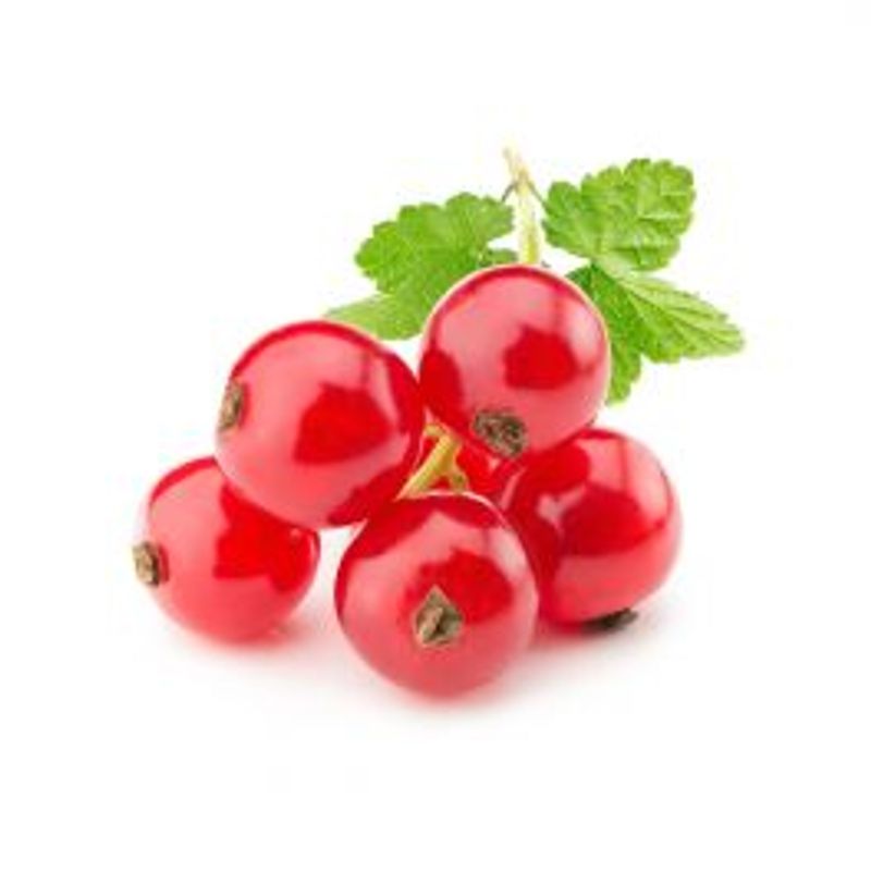 Sweet Currant - CAP Series