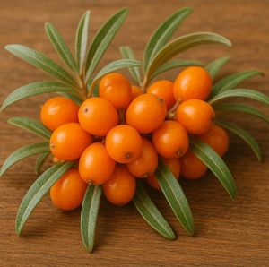 Hovedbilde Sea Buckthorn - FA Series