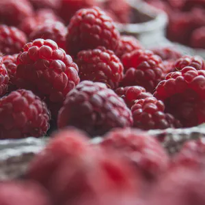 Hovedbilde Raspberry - PUR Series